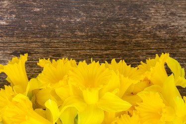 Similar image 7664632