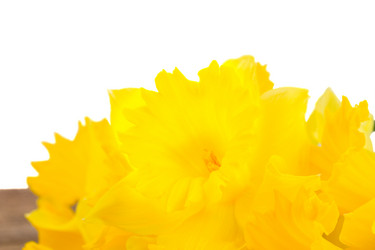 Similar image 7664634