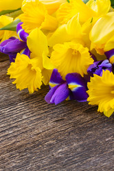 Similar image 7664635