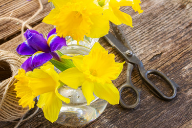 Similar image 7664636