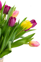 Similar image 7664638