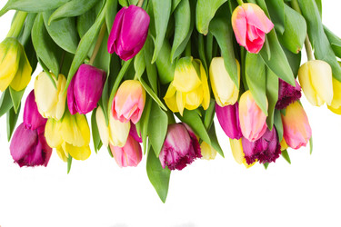 Similar image 7664639