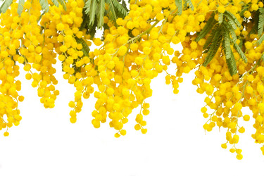 Similar image 7664640