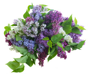 Similar image 7664642