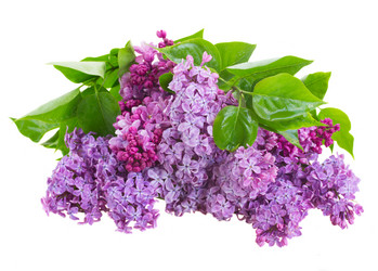 Similar image 7664643