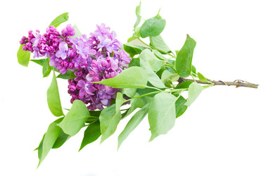 Similar image 7664644