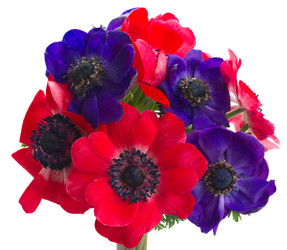 Similar image 7664653