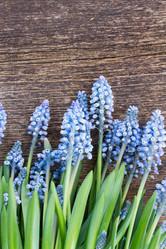 Similar image 7664657