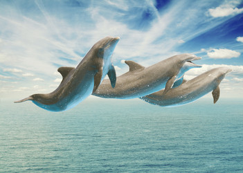 Similar image 7664676