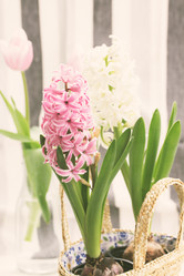 Similar image 7664684