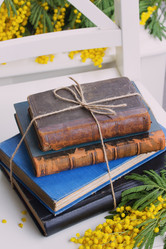 Similar image 7664696