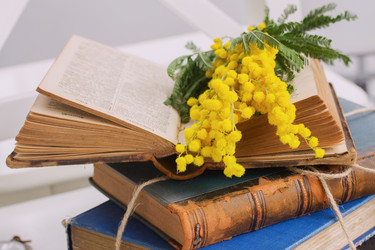 Similar image 7664698