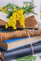 Similar image 7664699