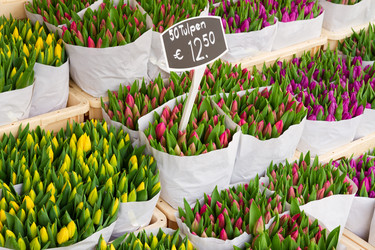 Similar image 7664761