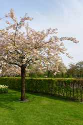 Similar image 7664764