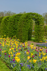 Similar image 7664765