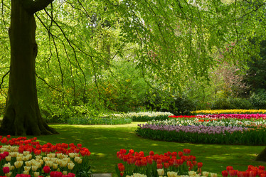 Similar image 7664767