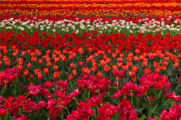 Similar image 7664769