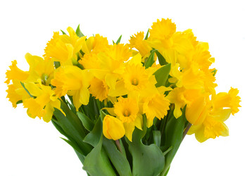 Similar image 7664787