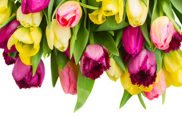 Similar image 7664789