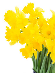 Similar image 7664791