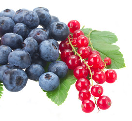 Similar image 7664793