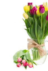 Similar image 7664800