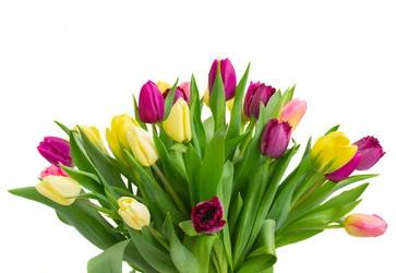 Similar image 7664801