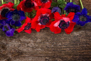 Similar image 7664807