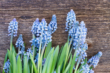 Similar image 7664808