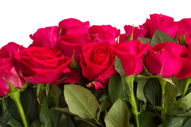 Similar image 7664821