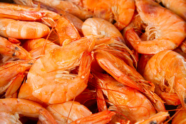 Similar image 7664830