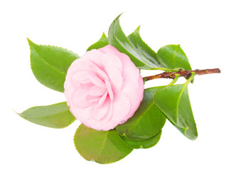 Similar image 7664833