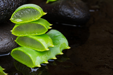 Similar image 7664838