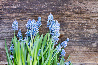 Similar image 7664843