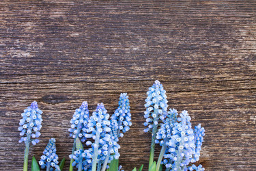 Similar image 7664844