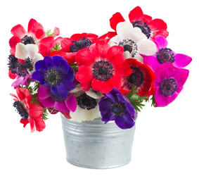 Similar image 7664849