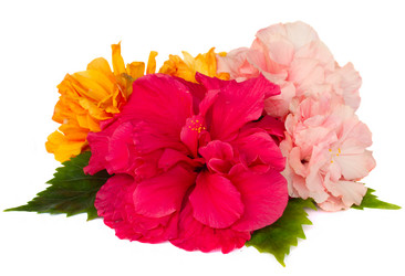 Similar image 7664852