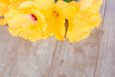 Similar image 7664854