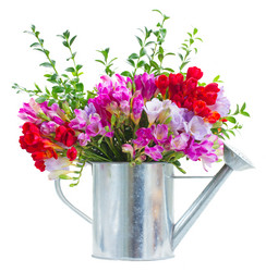 Similar image 7664856