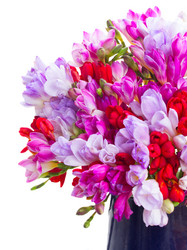 Similar image 7664857