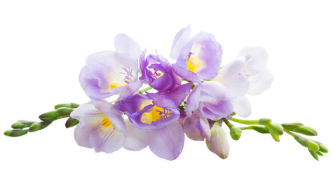 Similar image 7664858