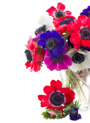 Similar image 7664860