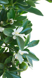 Similar image 7664863