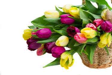 Similar image 7664907