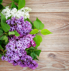 Similar image 7664925