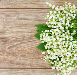 Similar image 7664928