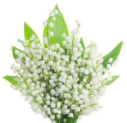 Similar image 7664930