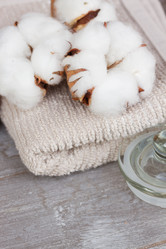 Similar image 7664937