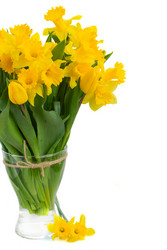 Similar image 7664939